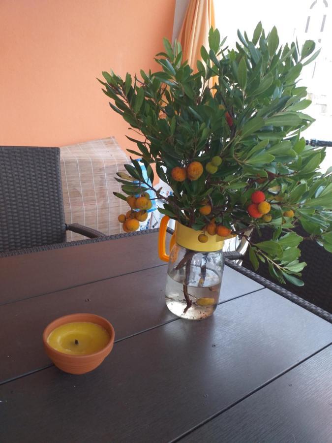 Apartmani Marijanovic Vir Zewnętrze zdjęcie
